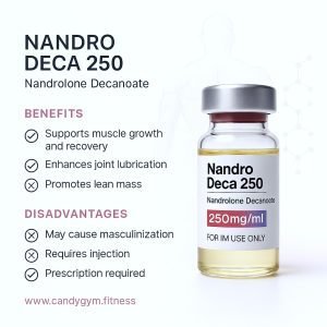 NANDRO DECA 250 - Image 2