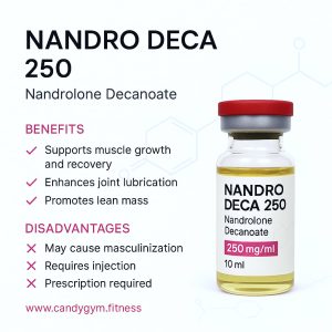 NANDRO DECA 250 - Image 3