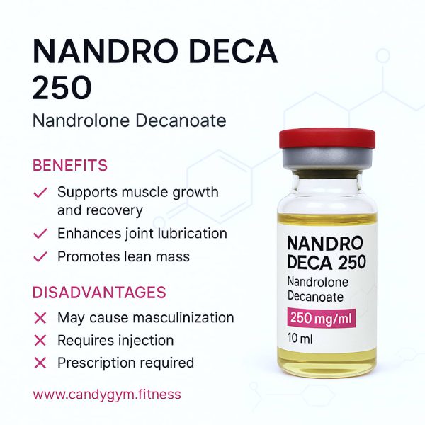 NANDRO DECA 250 – Bild 3